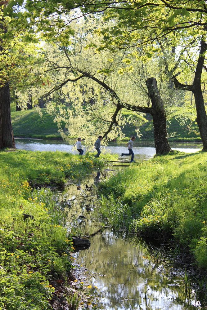 Photograph by Светлана Шубина