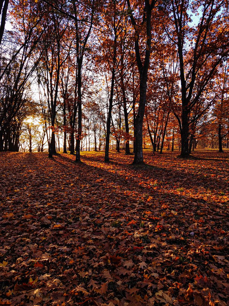 Photograph by Татьяна