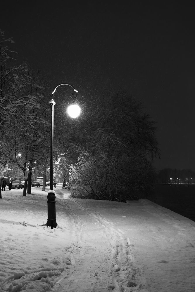 Фотография автора Alina Efimova