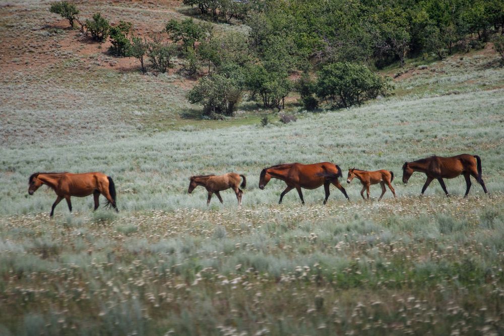 Photograph by Тоцкий Михаил