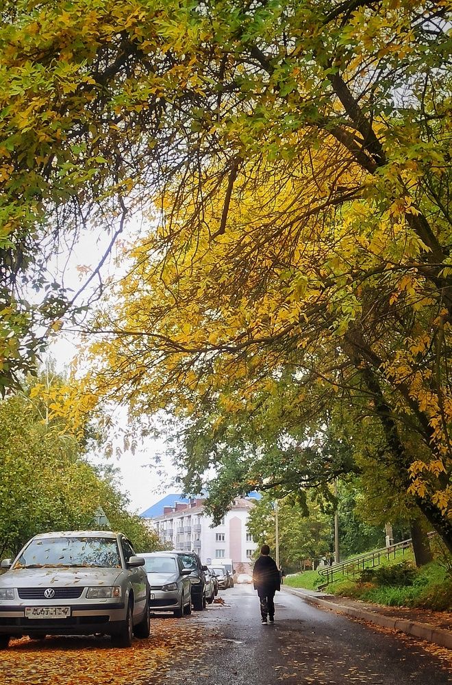 Photograph by Александр Никонов