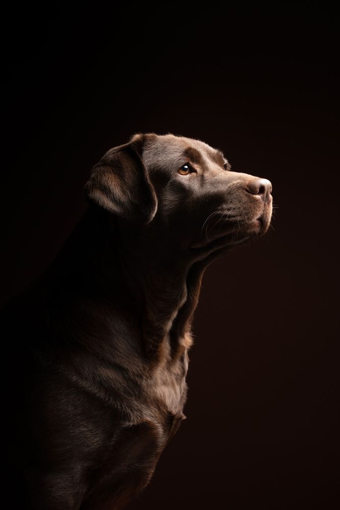 Photograph by Almasconpelo
