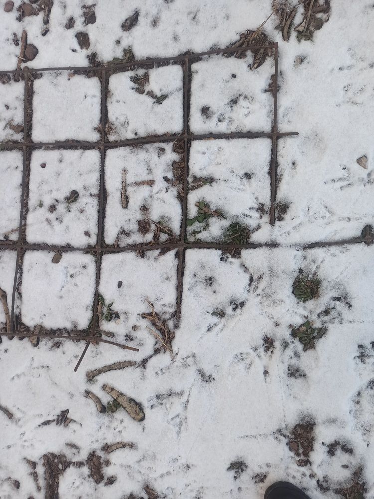 Photograph by Валерия Сопова