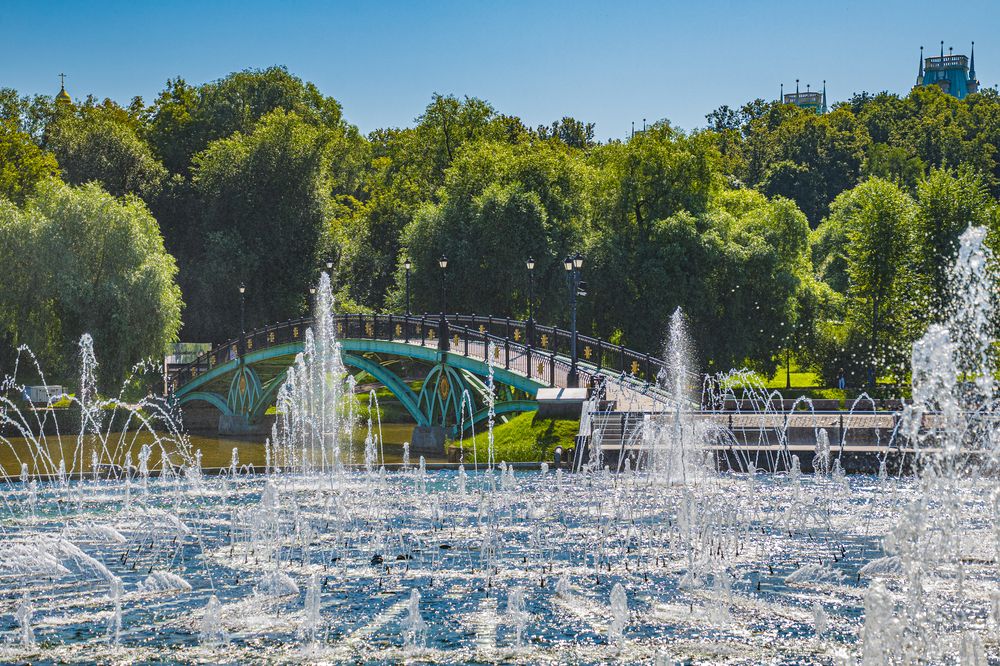 Photograph by Anna Prohorova