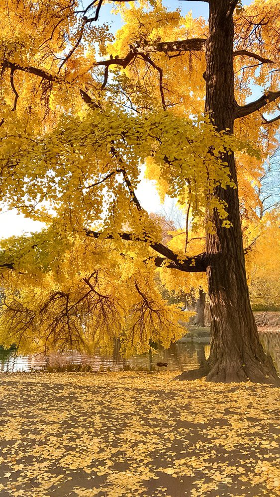 Photograph by Людмила Колесниченко