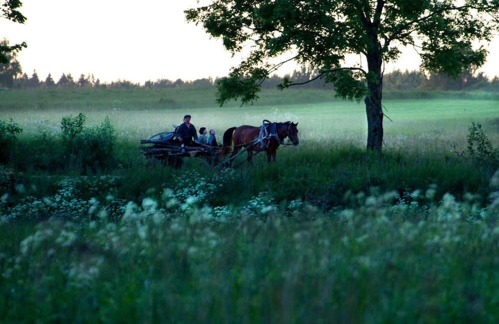 Фотография автора Ivanova Inga