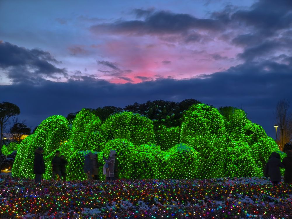 Фотография автора Татьяна Петренко