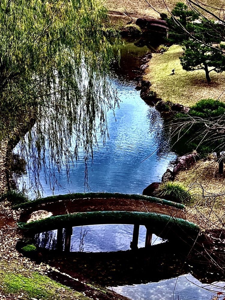 Фотография автора Алла Киселева