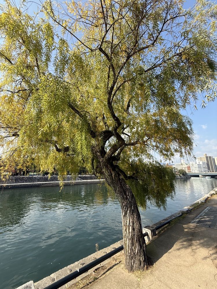 Фотография автора Алла Киселева