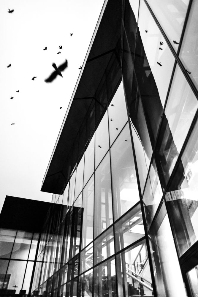 Фотография автора Ivanova Inga