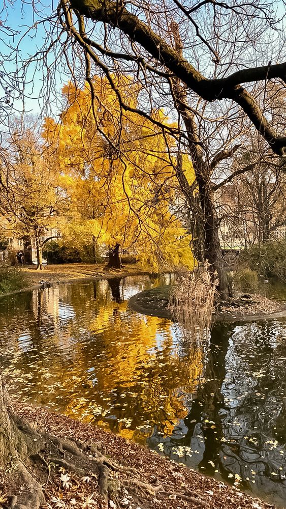 Photograph by Людмила Колесниченко