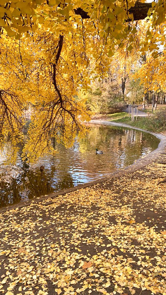 Photograph by Людмила Колесниченко