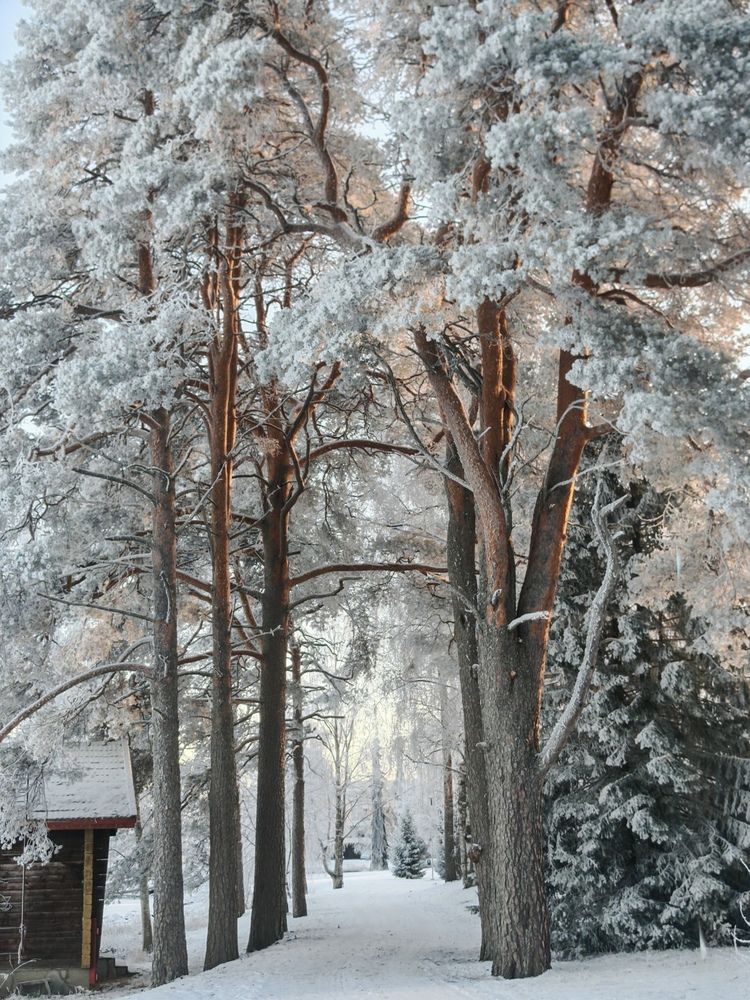 Photograph by OLga Piirainen