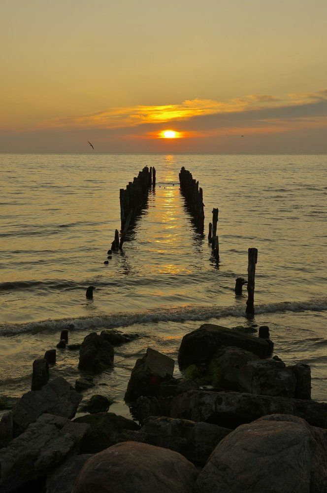 Последнее утро Мая