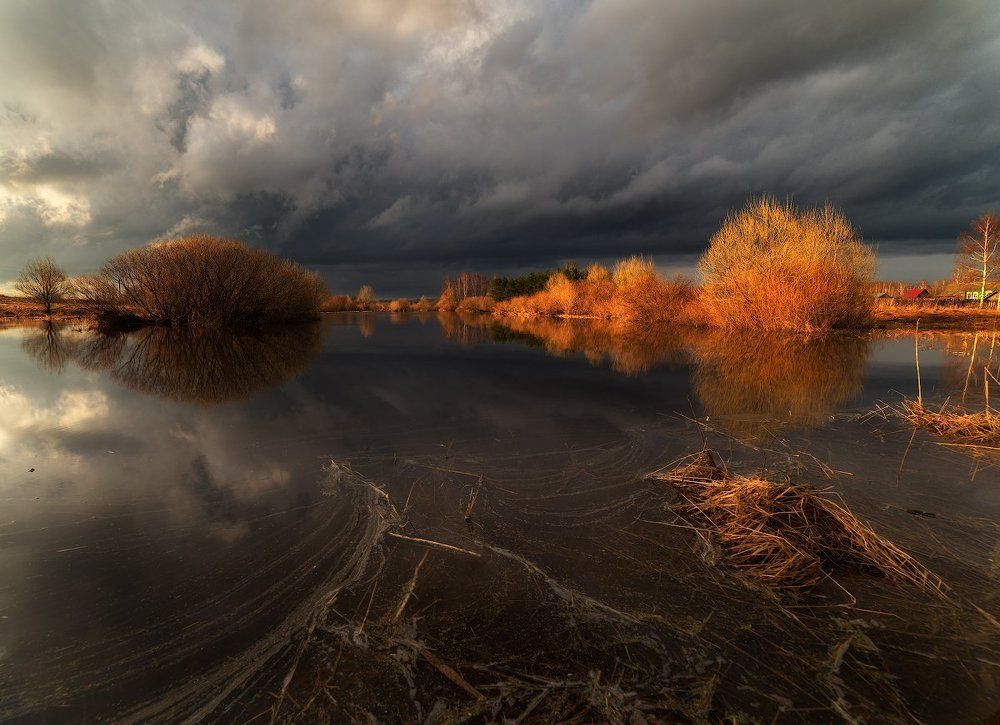 Перед бурей...