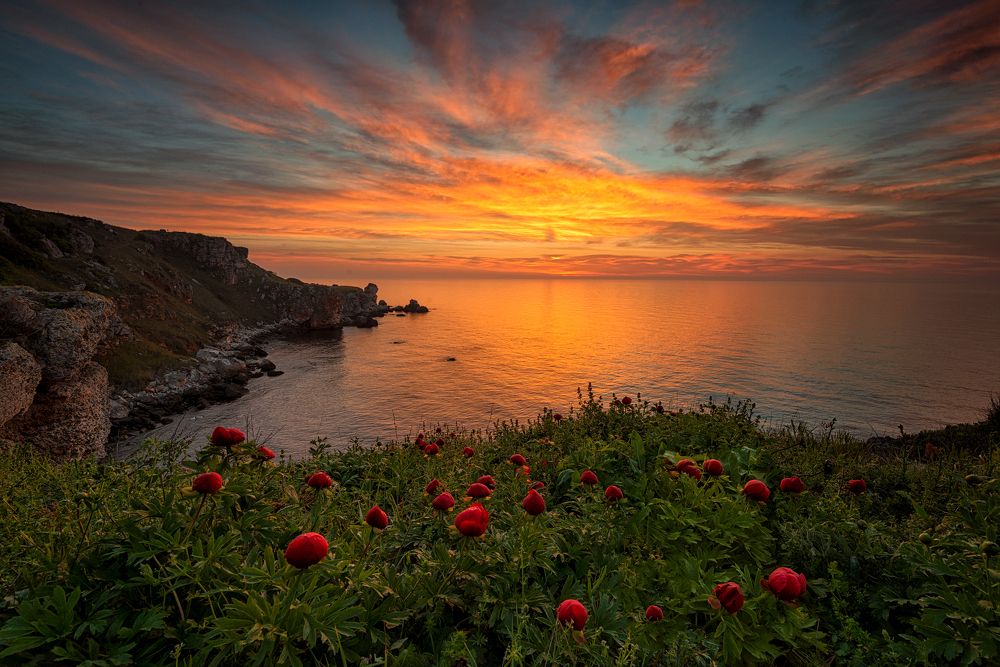 Пробуждение