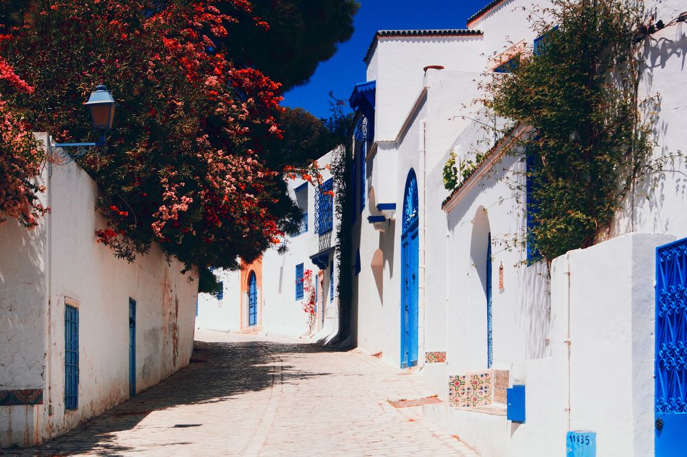 Sidi Bou Said, Tunis, Tunisia
