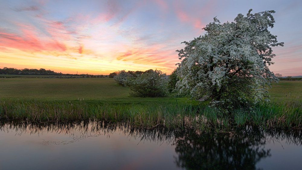 Фотография автора Проценко Виктор