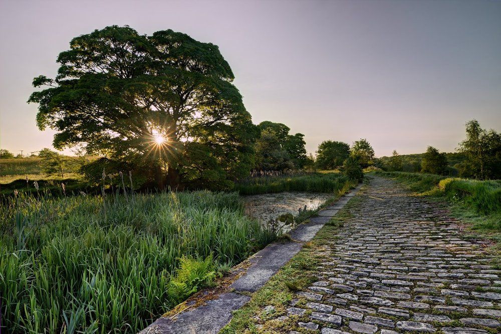 Фотография автора Проценко Виктор