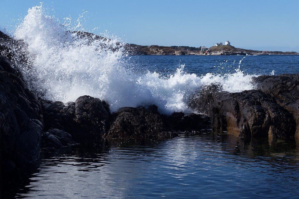 Photograph by Светлана