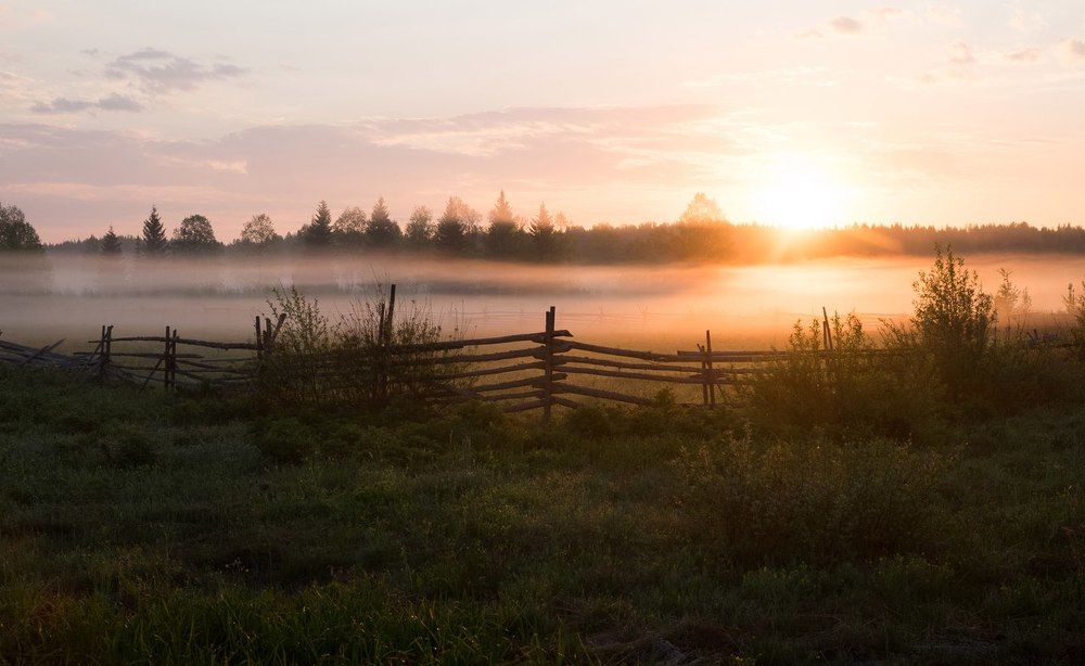 В Перми 4 часа ночи