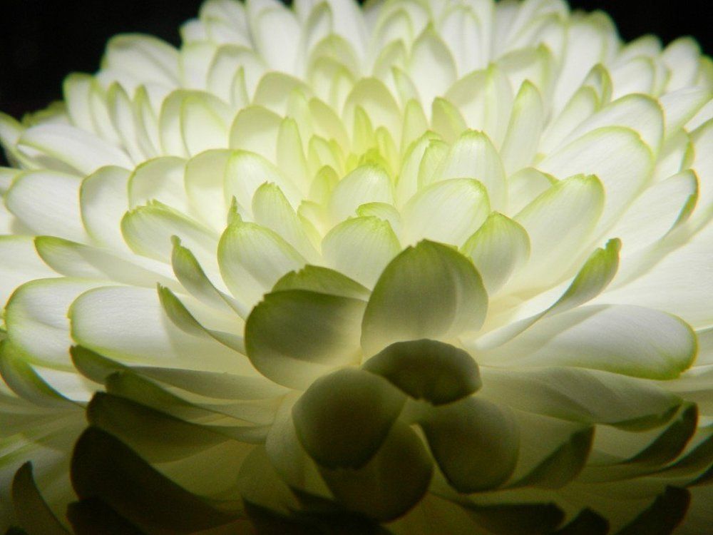 Photograph by Людмила