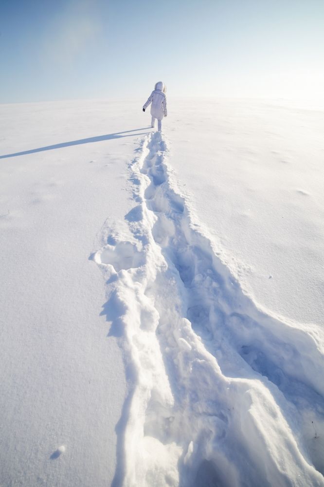 Обитатель ледяной планеты