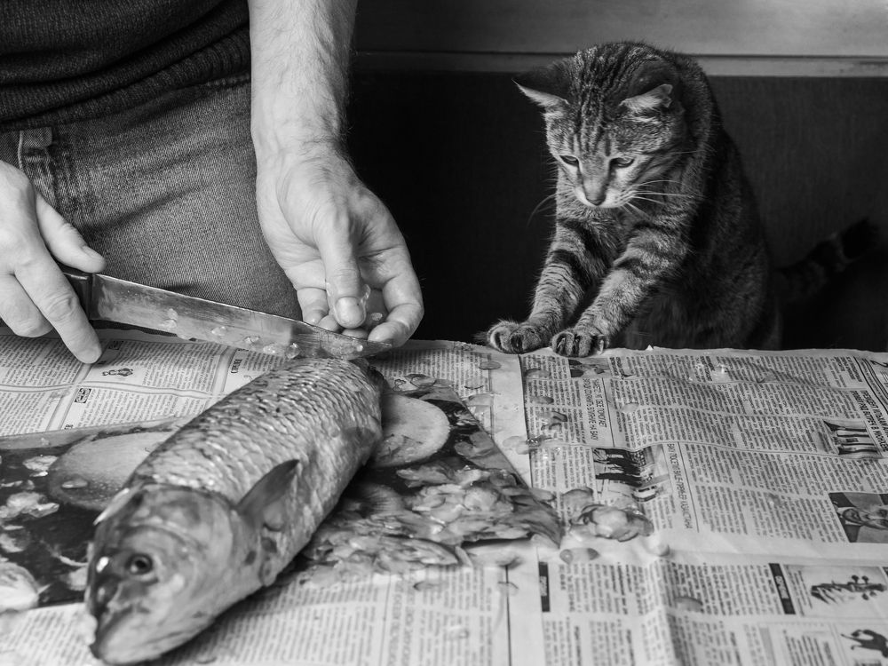 Photograph by Nadejda Javad