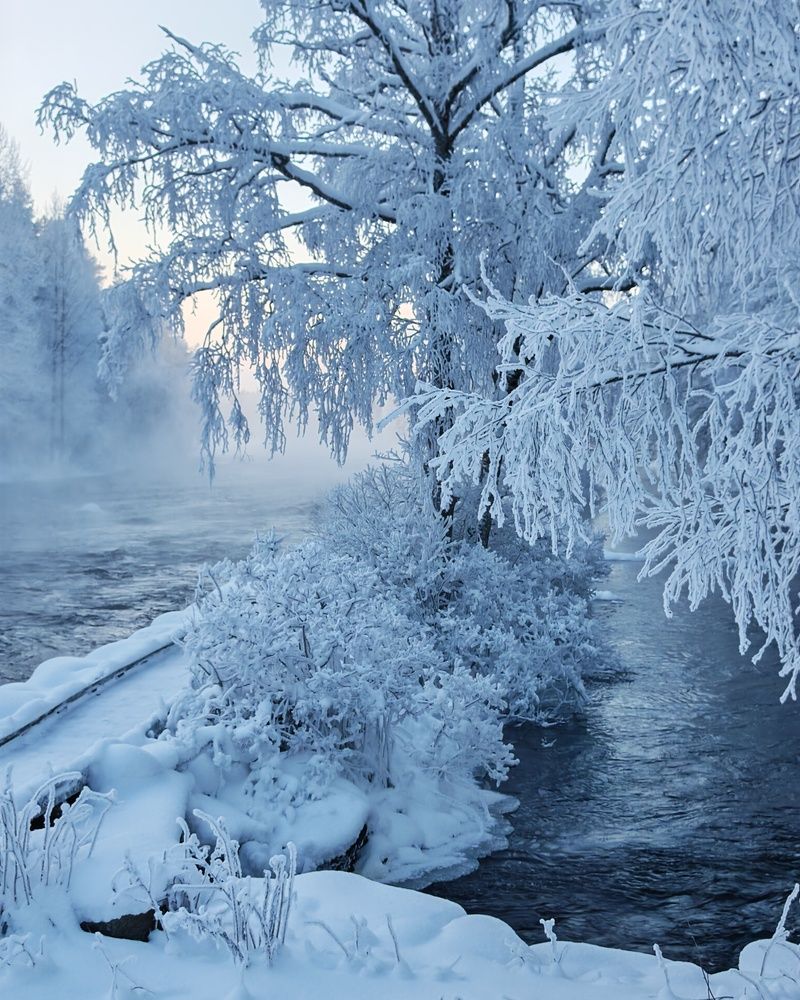 Photograph by OLga Piirainen