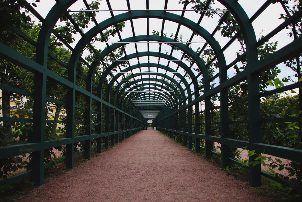 Photograph by Андрей Вешняков