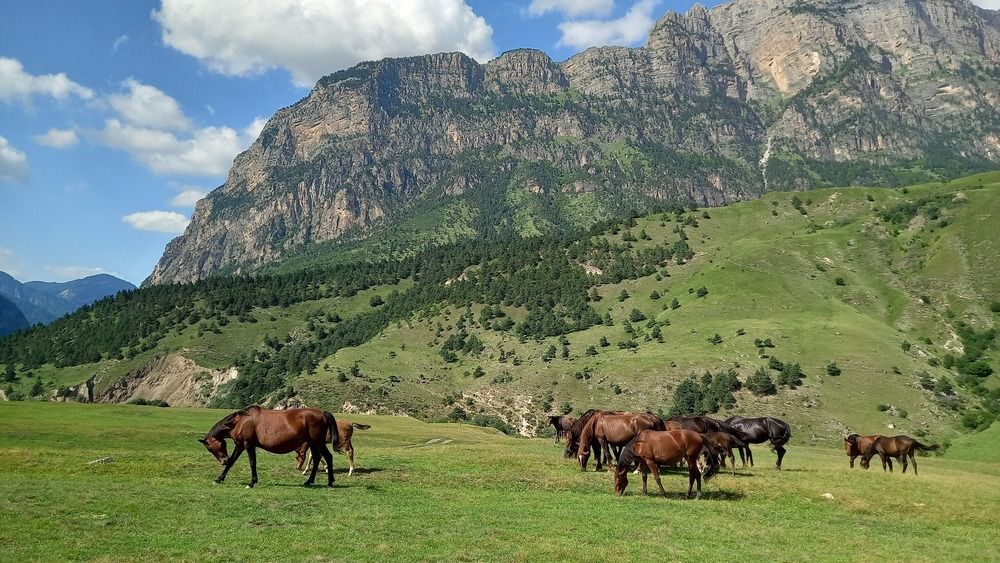 Фотография автора Людмила Ярош