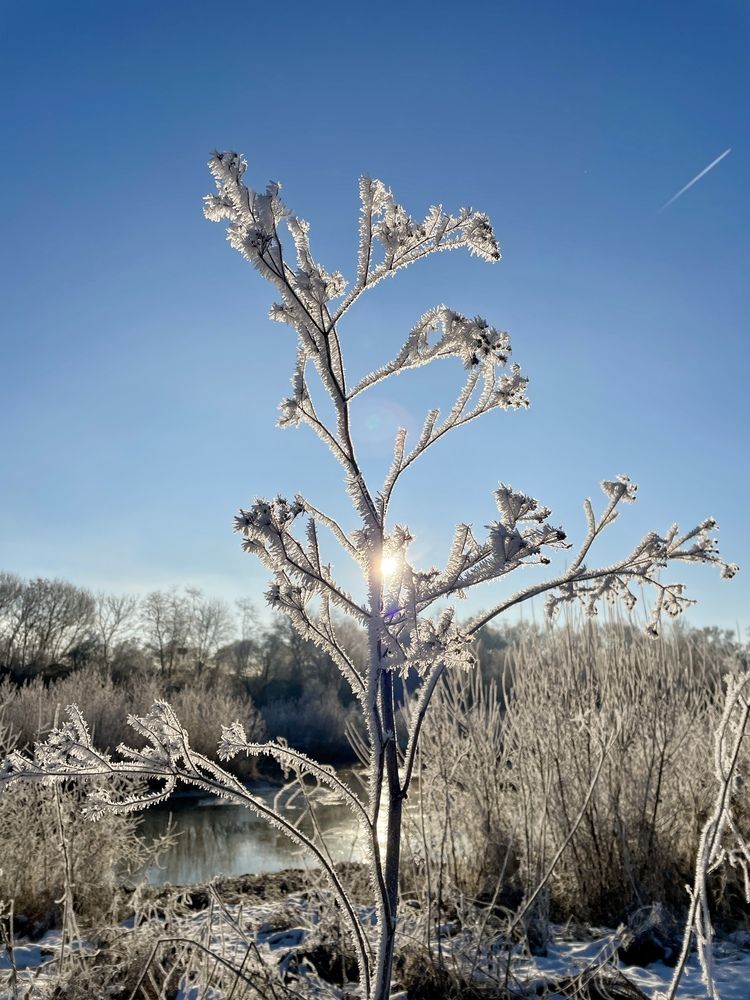 Photograph by Deyan Borisov