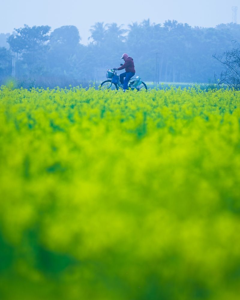 Photograph by Rohit Rajak