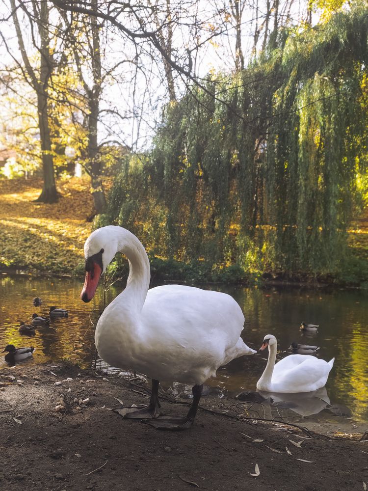 Фотография автора Дарья