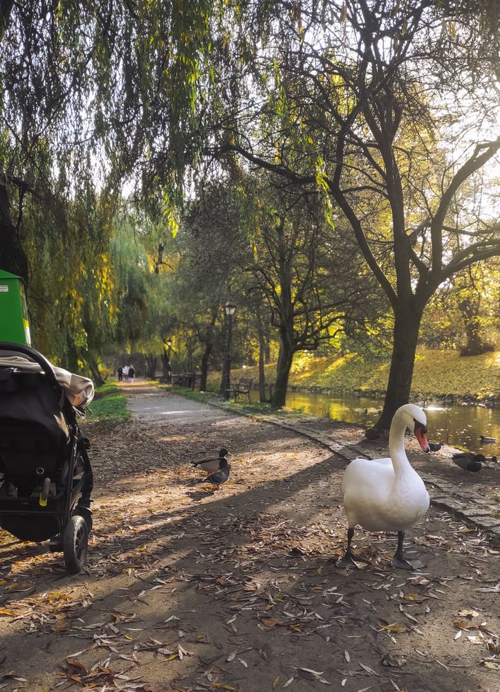 Фотография автора Дарья