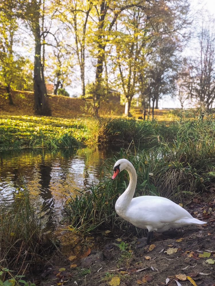 Фотография автора Дарья