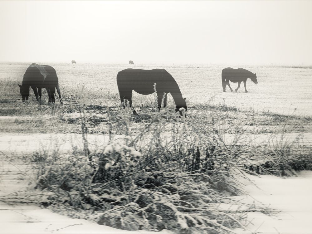 Photograph by Картунова Светлана