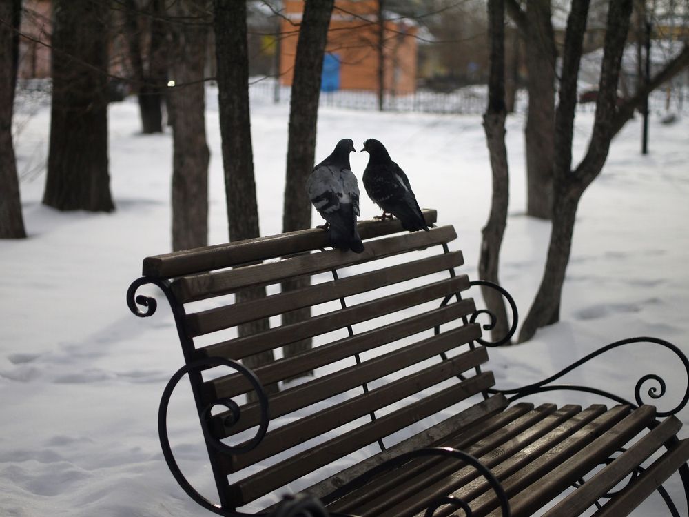 Photograph by Баженова Наталья