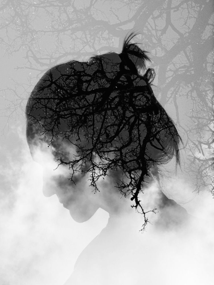 Photograph by Картунова Светлана