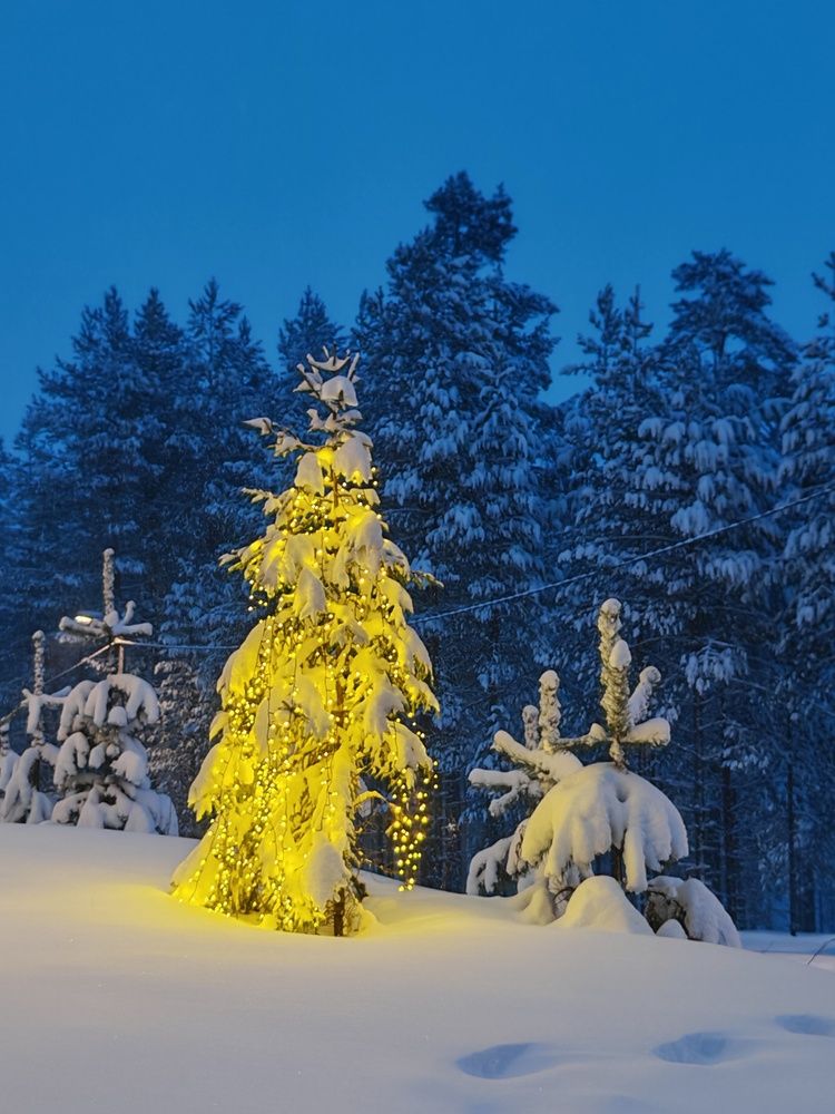 Фотография автора OLga Piirainen