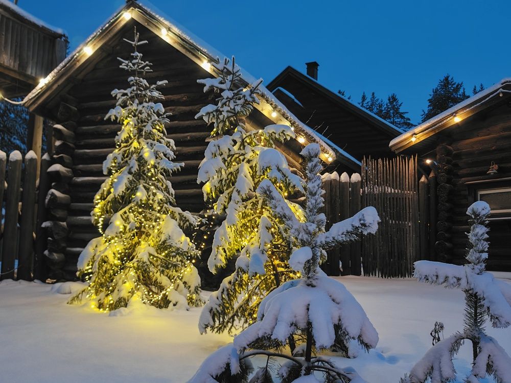 Фотография автора OLga Piirainen