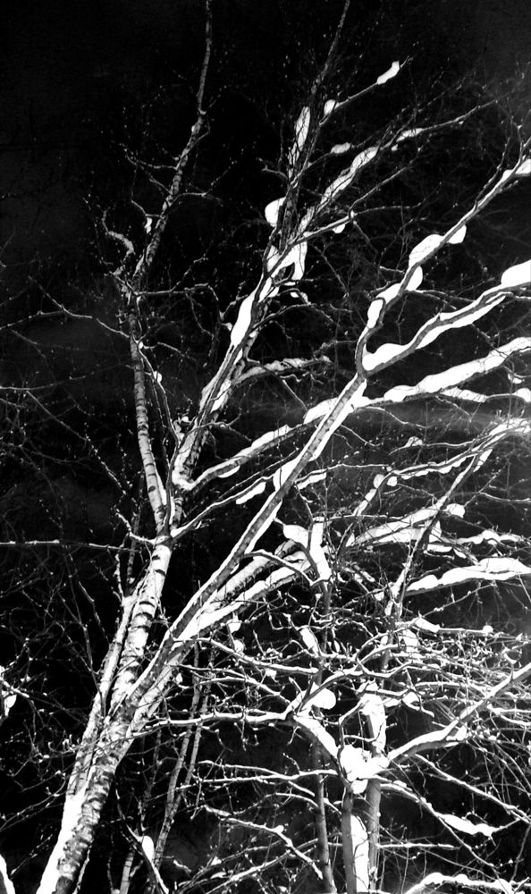 Photograph by Елена Юдина