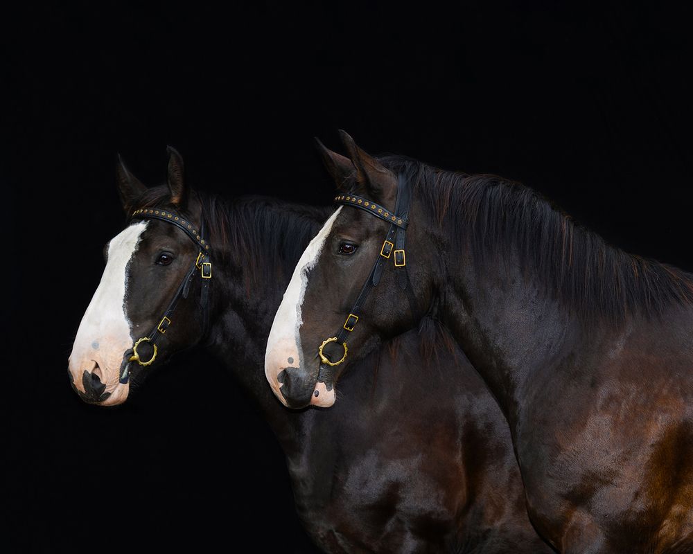 Фотография автора Helena