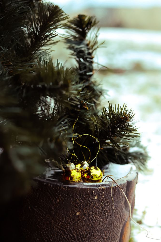 Photograph by Руслана Ковалевская