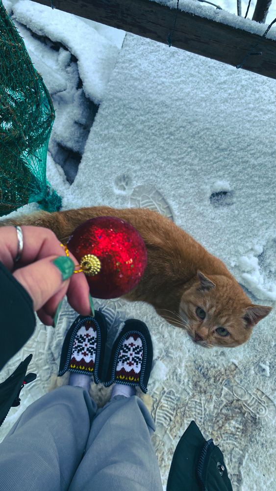 Photograph by Руслана Ковалевская