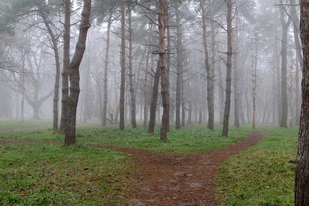 Фотография автора Сергей Кульков
