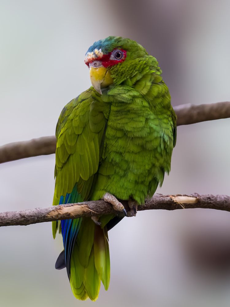 Photograph by WONG ADVENTURE