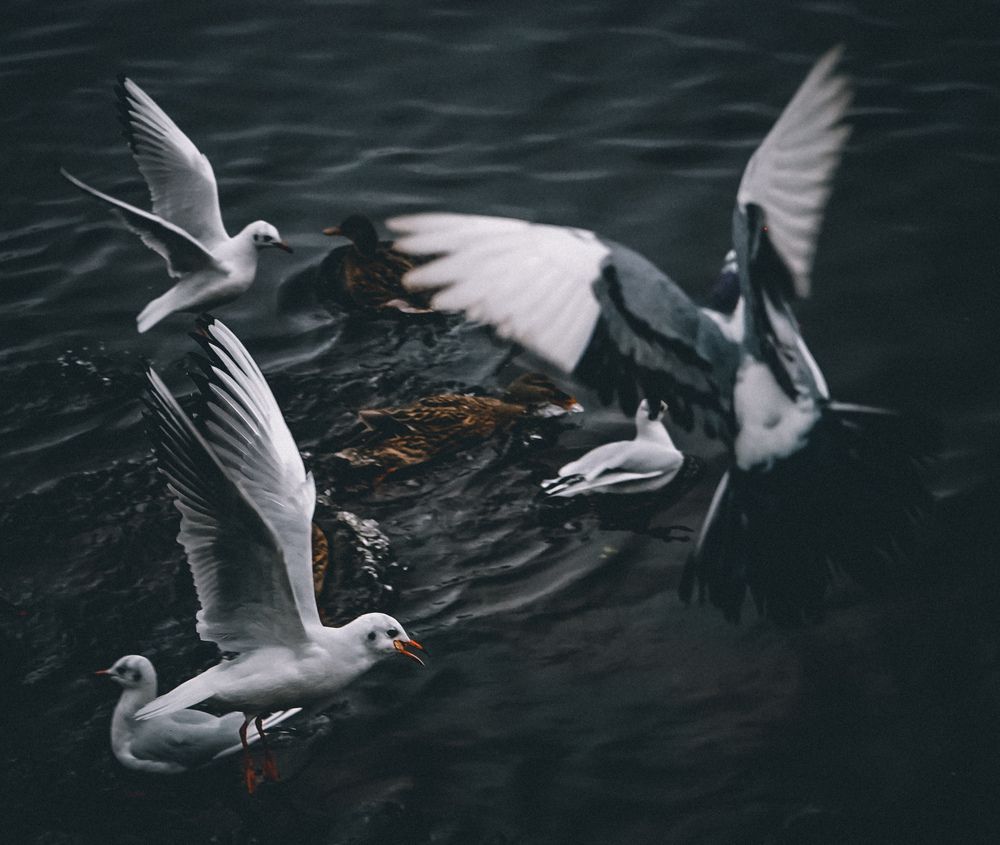 Photograph by Вадим Аппазов