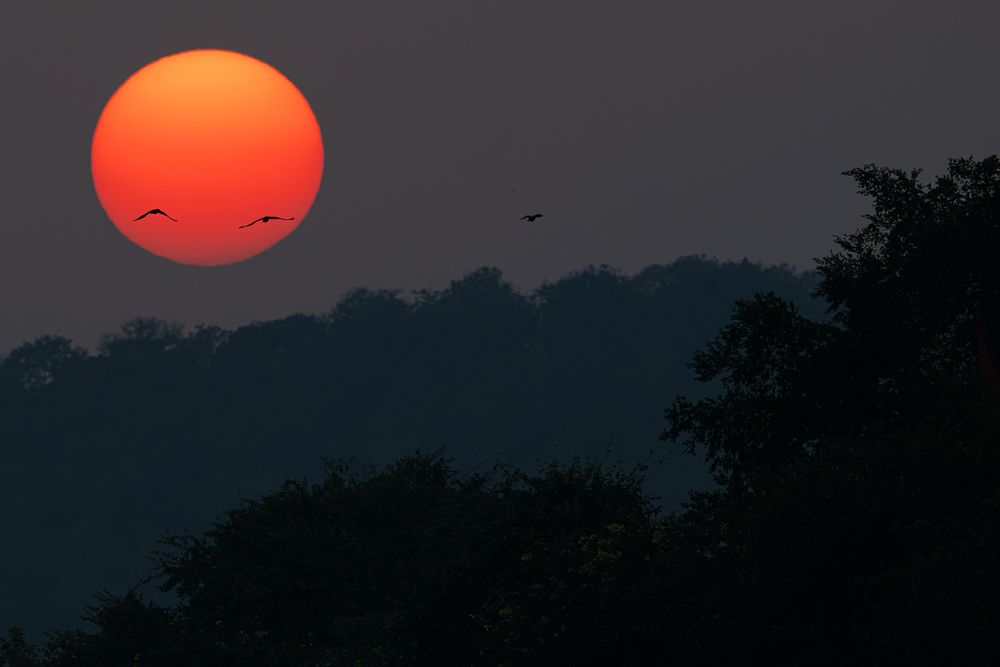 Photograph by Nikolay Slutskiy