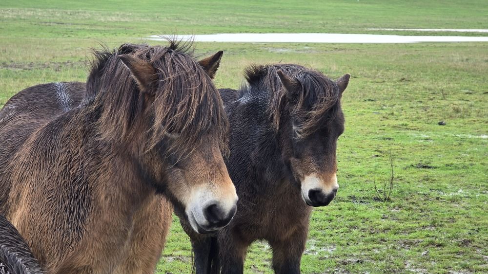 Photograph by Ekaterina Kazarez